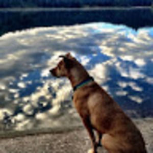 Meet your Posher, Jodi